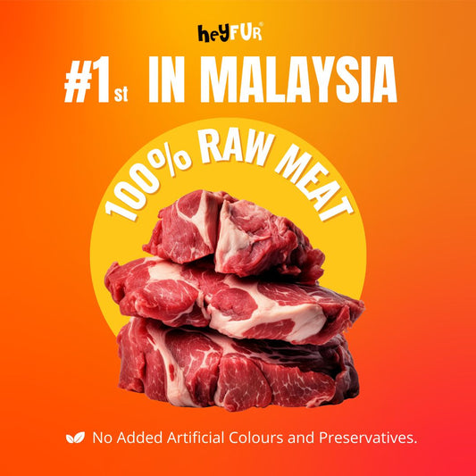 H-RAW[4 IN 1 MEAT]FUNCTIONAL FREEZE RAW MEAT [140G]