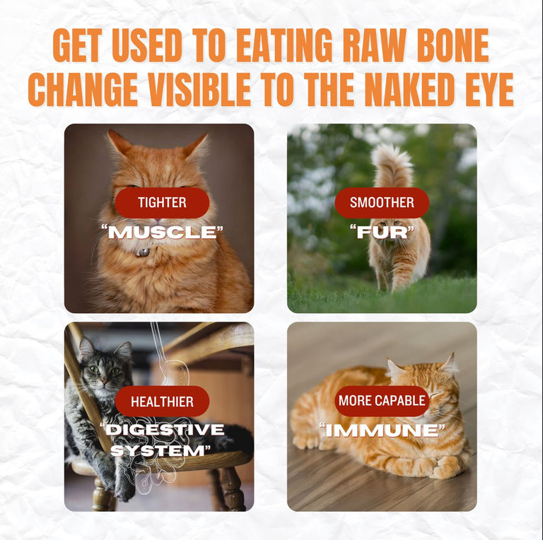 H-RAW[4 IN 1 MEAT]FUNCTIONAL FREEZE RAW MEAT [140G]