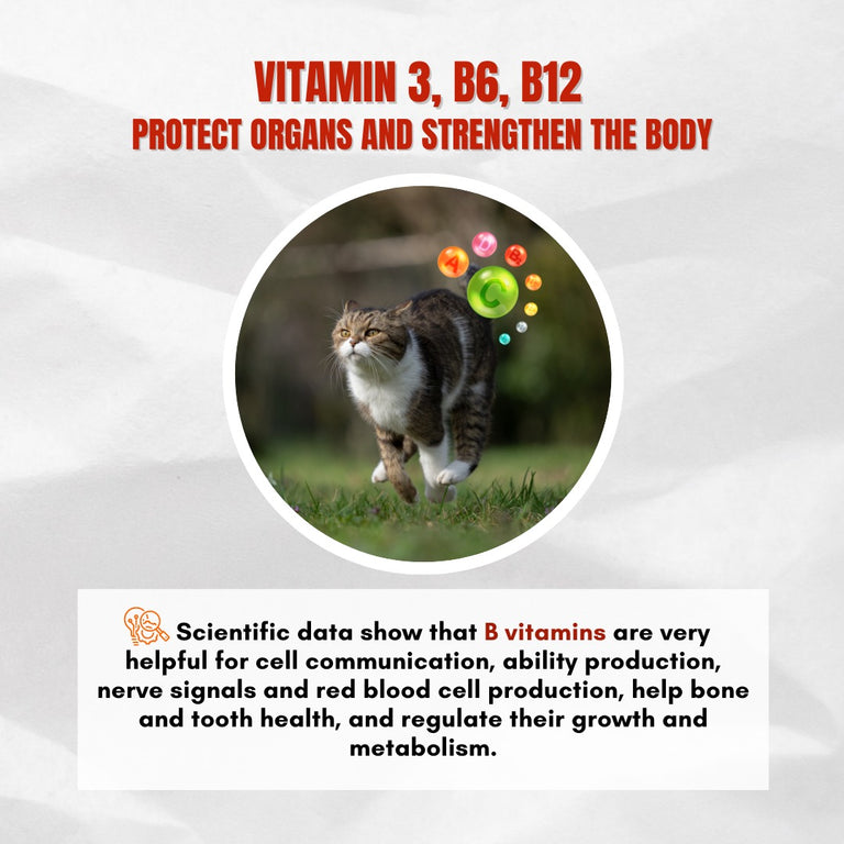 YAVRUNE SERIES - STRONG MUSCLE | ENHANCE RESISTANCE | DIVERSIFIED NUTRIENTS