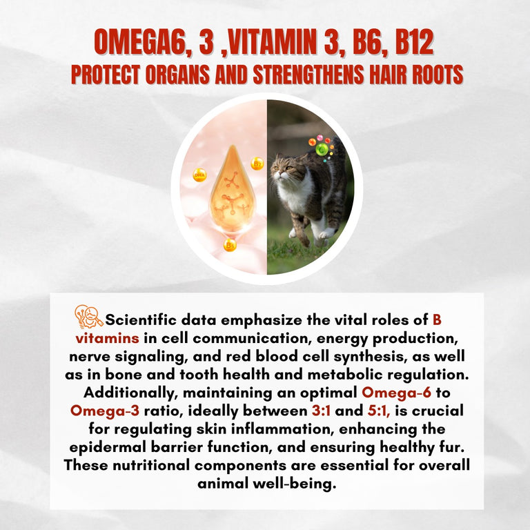 KAZANMAK SERIES - 42% PROTEIN | HIGH PROTEIN | GAIN MUSCLE