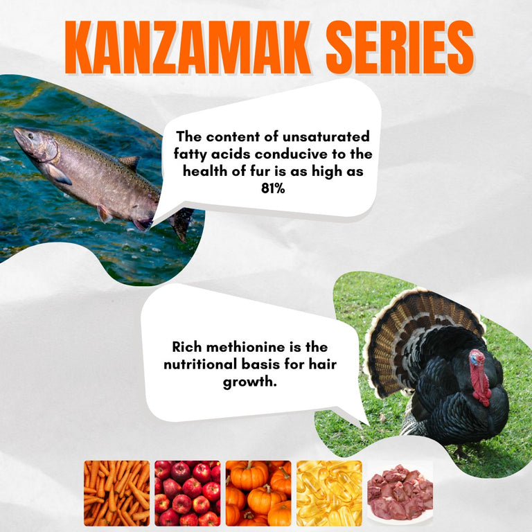 KAZANMAK SERIES - 42% PROTEIN | HIGH PROTEIN | GAIN MUSCLE