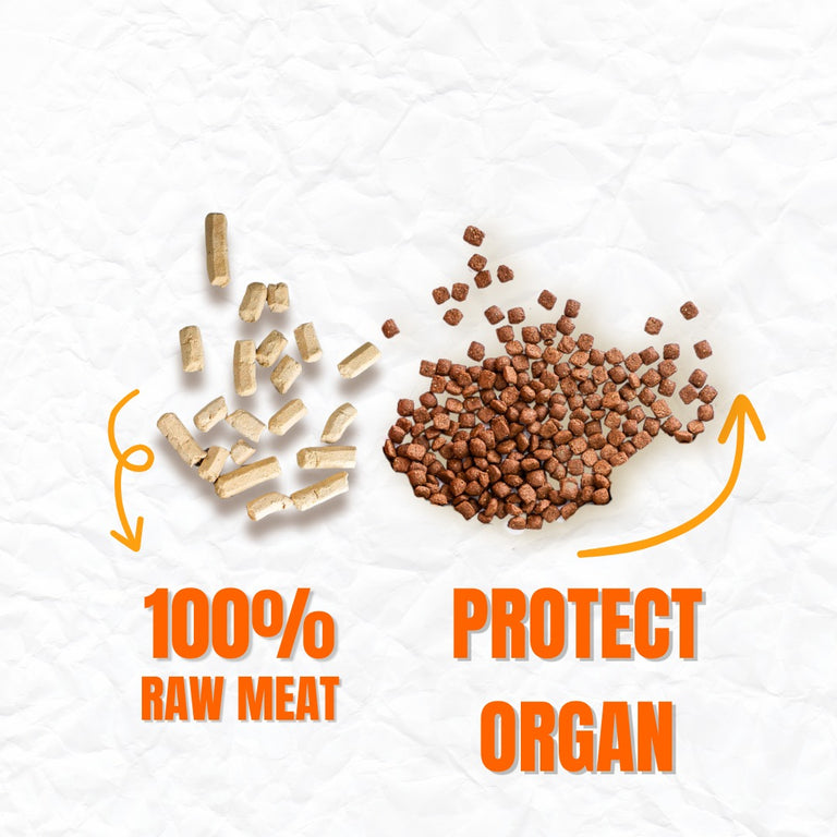 YAVRUNE SERIES - STRONG MUSCLE | ENHANCE RESISTANCE | DIVERSIFIED NUTRIENTS